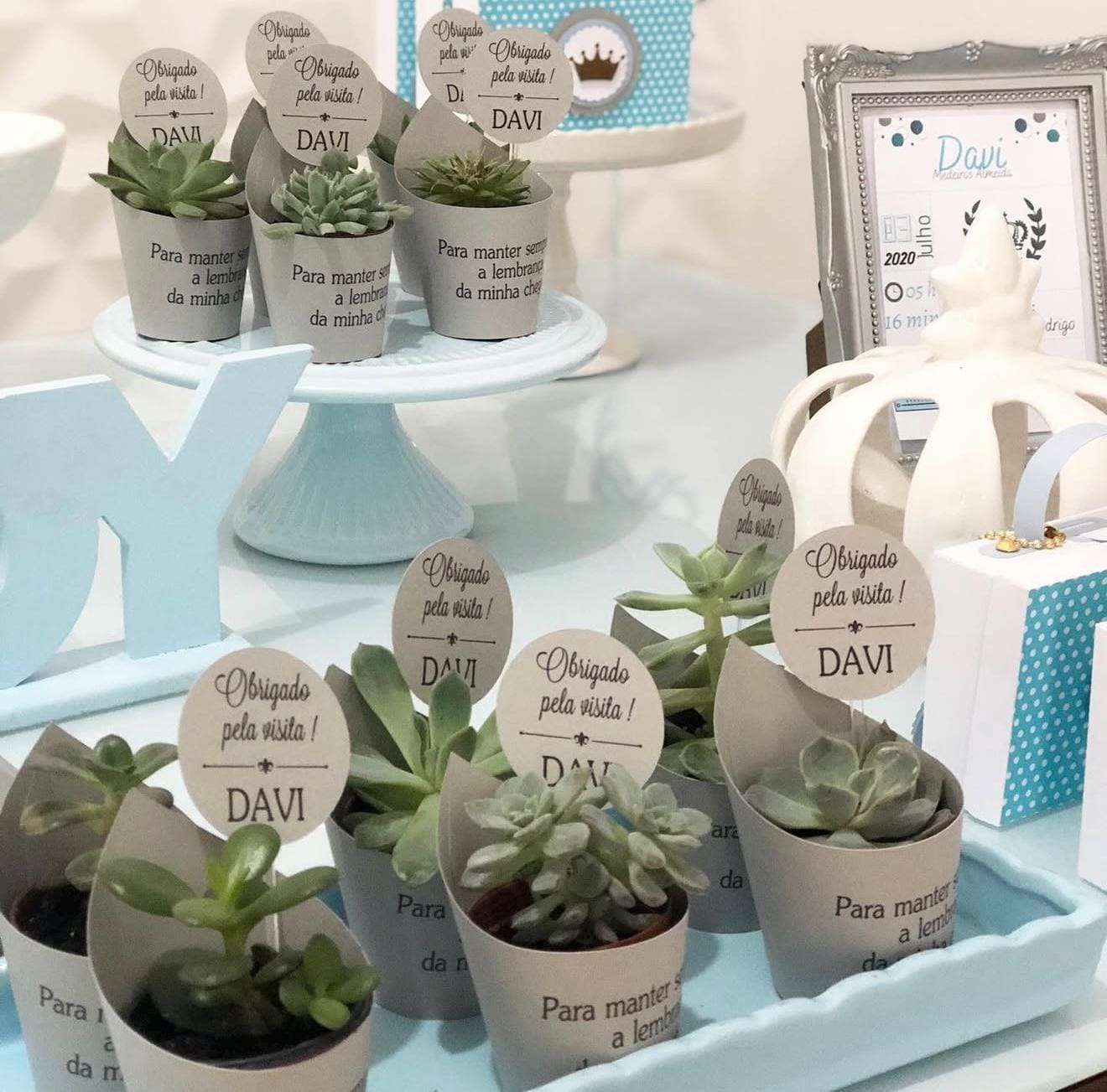 Personalized Cactus Succulents Gift Party Favors with Plant Set of 10